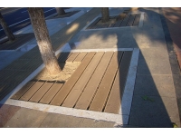 樹(shù)蔑樹(shù)池